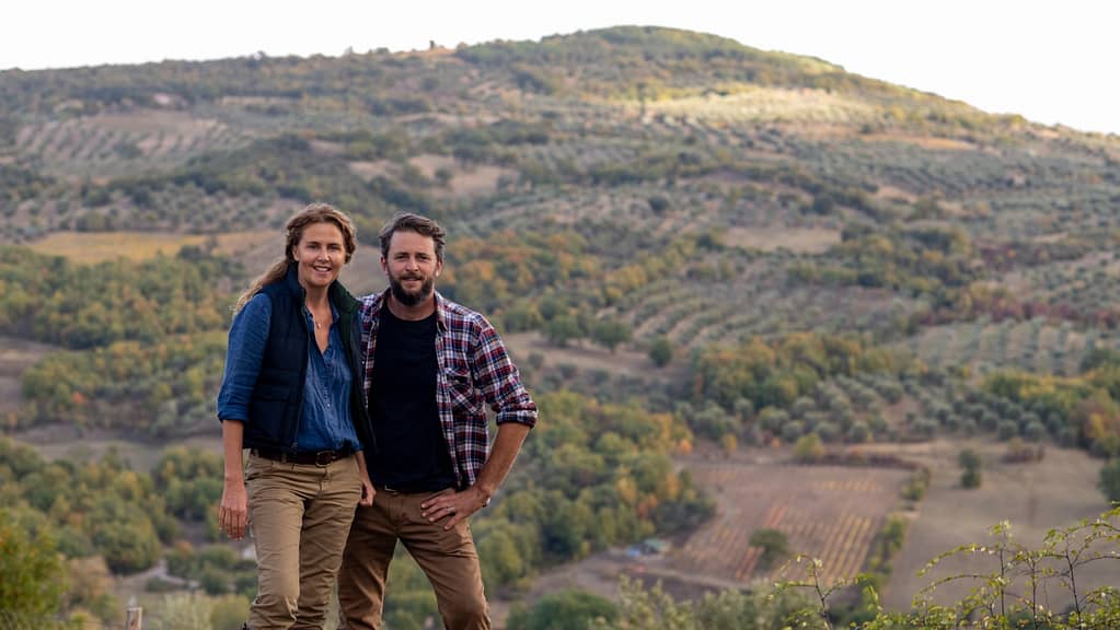Les tarifs de Trump pressent les producteurs d’huile d’olive: NPR