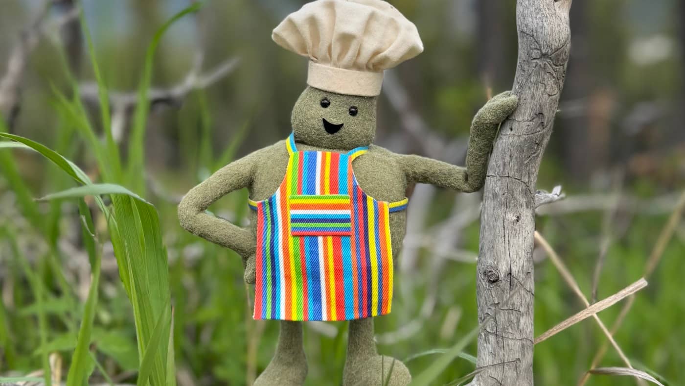 Les fans de Tiny Chef peuvent-ils récupérer son émission sur Nickelodeon après l’annulation? : RADIO NATIONALE PUBLIQUE