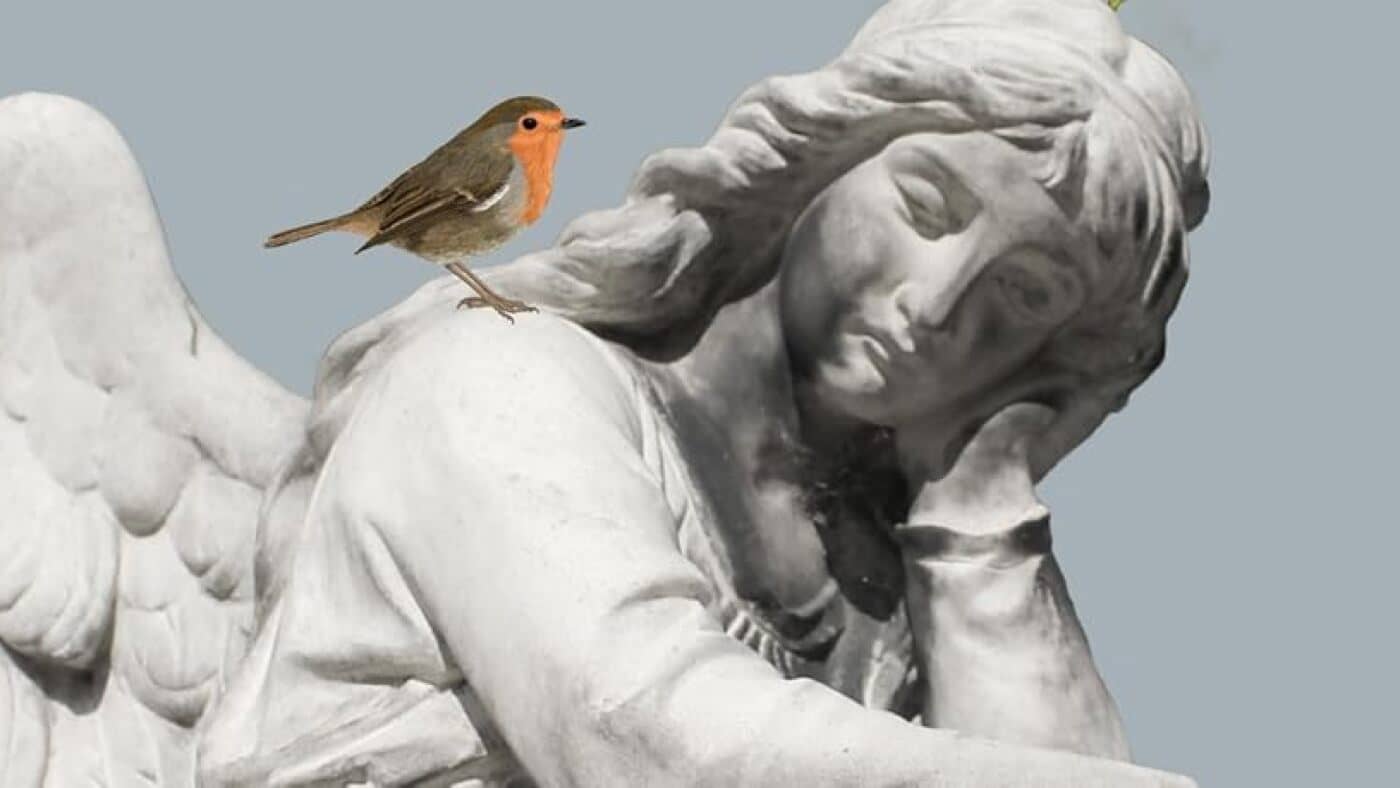«  La vie secrète d’un cimetière  » par Benoît Gallot est un hommage à la lachaise: npr